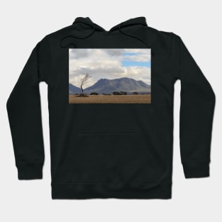 Bluff Knoll Hoodie